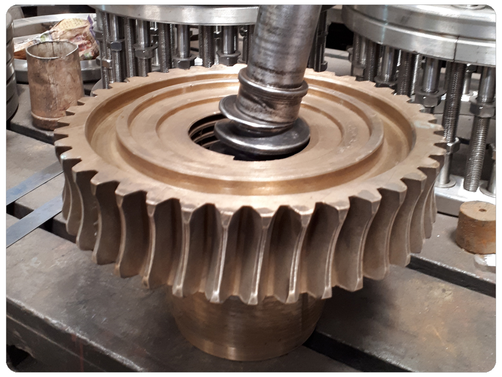 Worm Gear